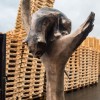 Igor Loskutow  Kunst mit Kettensäge, Schnitzerei, Skulptur: dual_katzenbank017