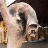 Igor Loskutow  Kunst mit Kettensäge, Schnitzerei, Skulptur: dual_katzenbank020