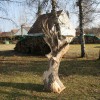 Igor Loskutow  Kunst mit Kettensäge, Schnitzerei, Skulptur: IMG_8015