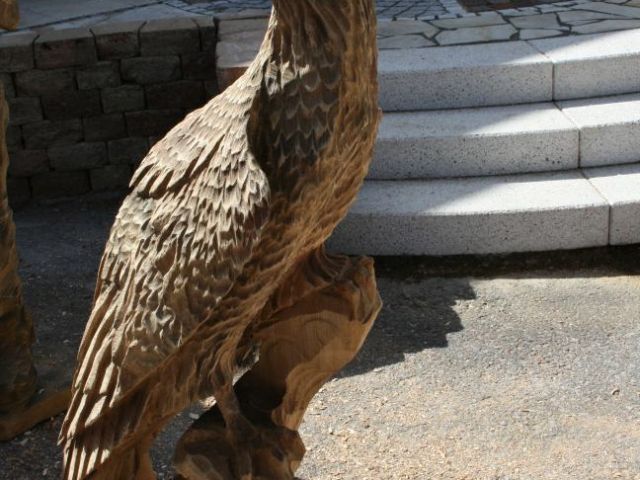 adler