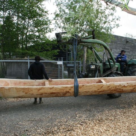 IMG 8686