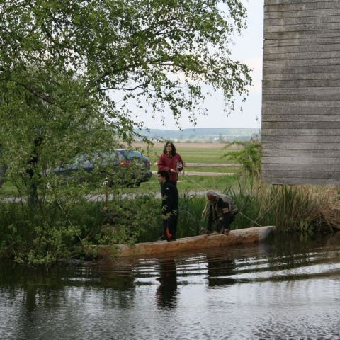 IMG 8694