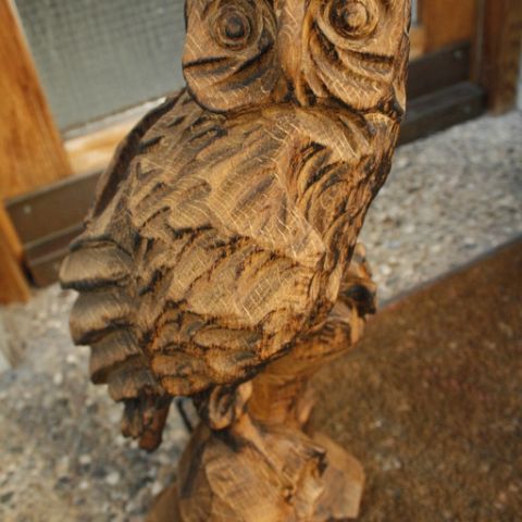 Miniadler - 05