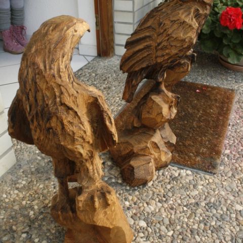 Miniadler - 06