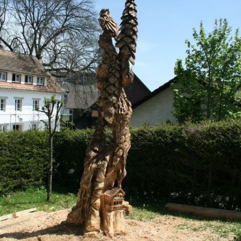 IMG 5776