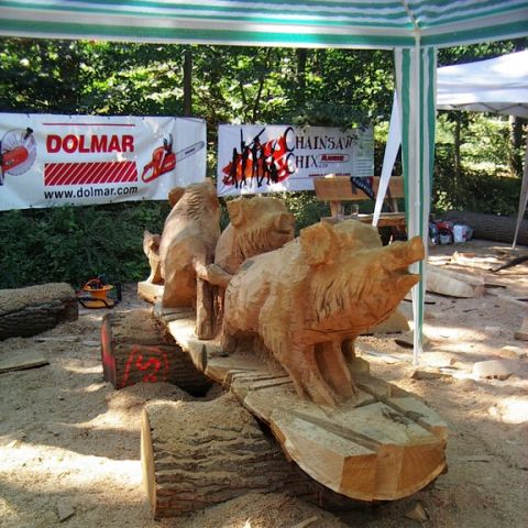 Treffen bei Sigurd - 41