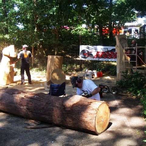Treffen bei Sigurd - 45