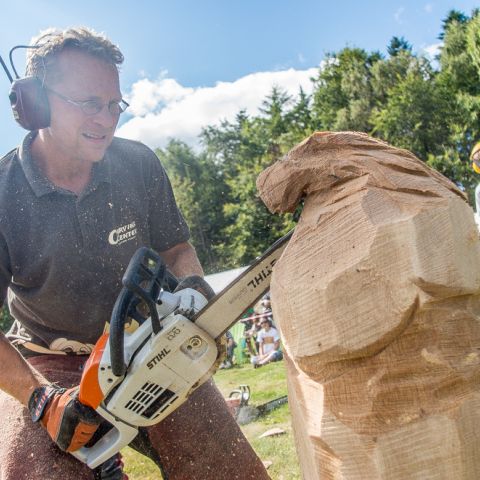 BLOCKHUS DAY2 Speedcarving 488