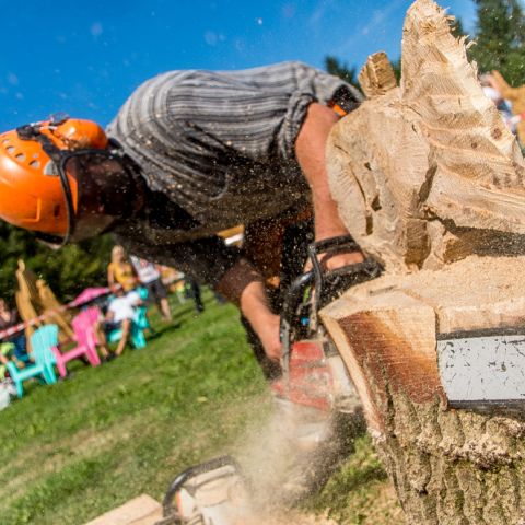 BLOCKHUS DAY2 Speedcarving 500