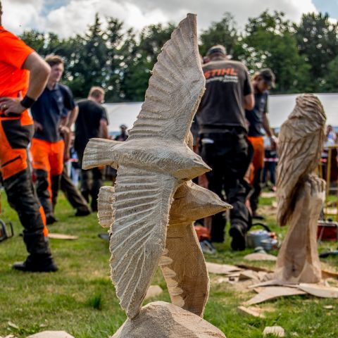 BLOCKHUS DAY2 Speedcarving 518