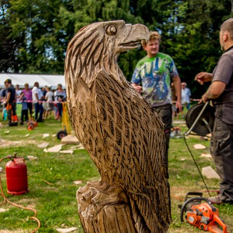 BLOCKHUS DAY2 Speedcarving 524