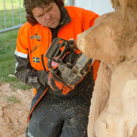 BLOKHUS DAY2011