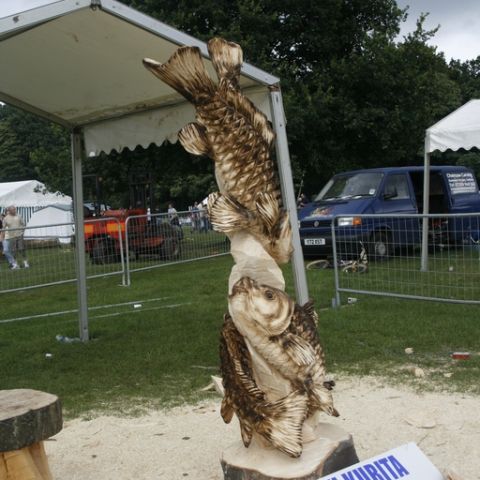 English Open 08 - 63