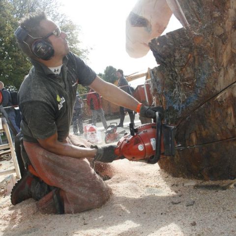 mg 5540
