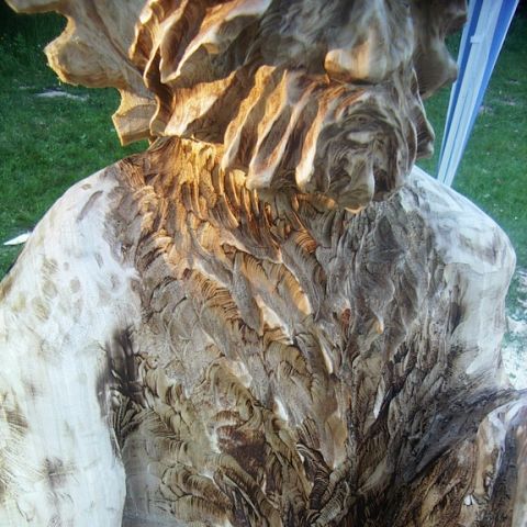 festival der natur - 05
