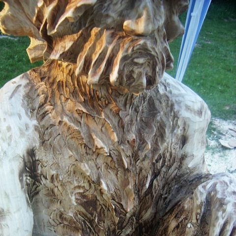 festival der natur - 06