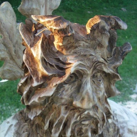 festival der natur - 14