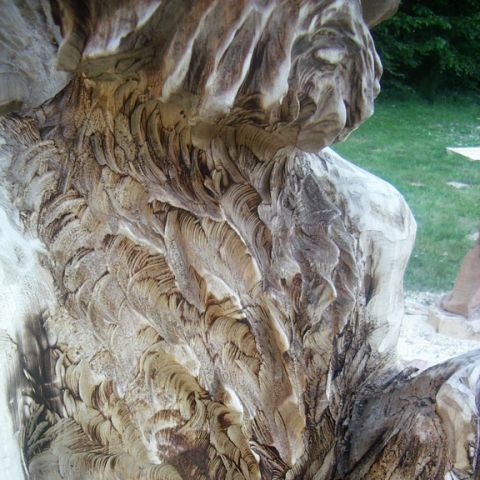 festival der natur - 15
