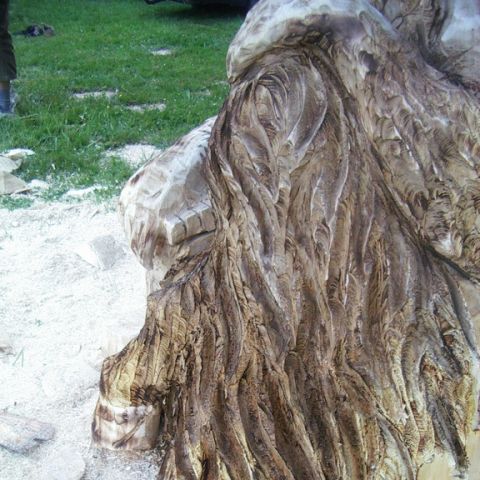 festival der natur - 16