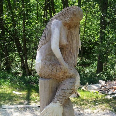 festival der natur - 19