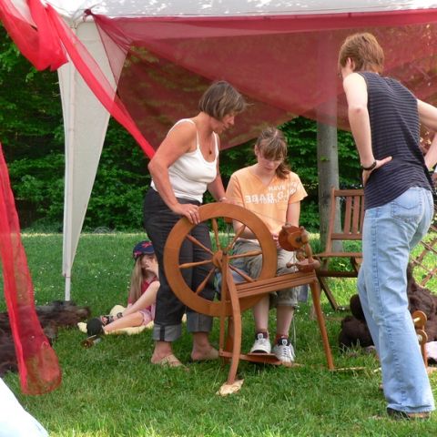 festival der natur - 41