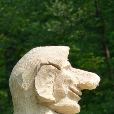 festival der natur - 42