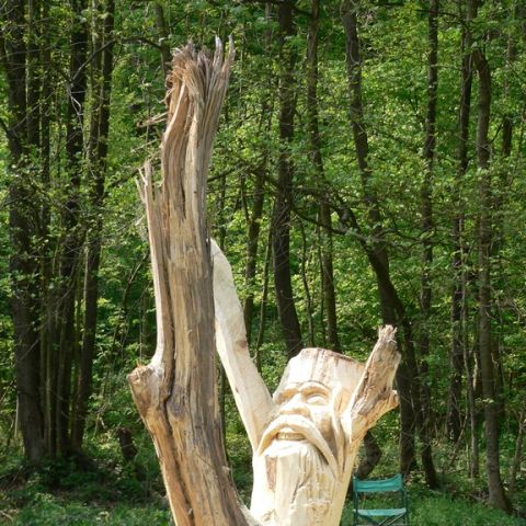 festival der natur - 43