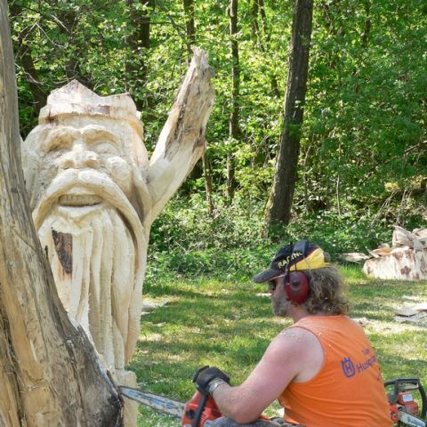festival der natur - 66