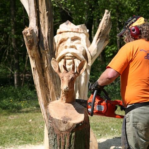 festival der natur - 95