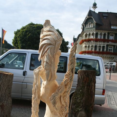 st.blasien 09 - 011