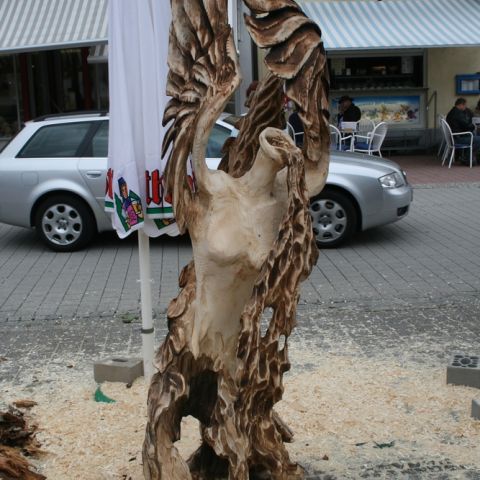 st.blasien 09 - 059