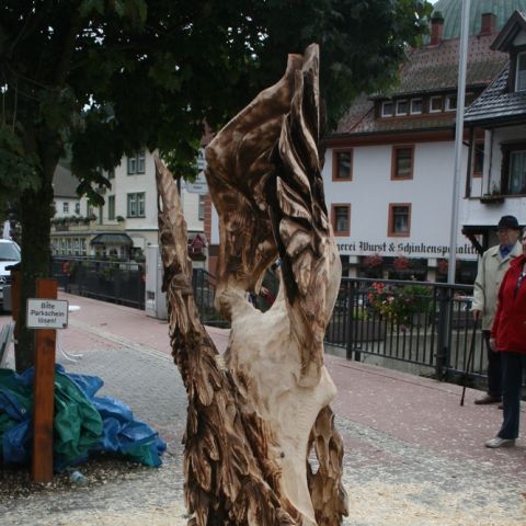 st.blasien 09 - 069
