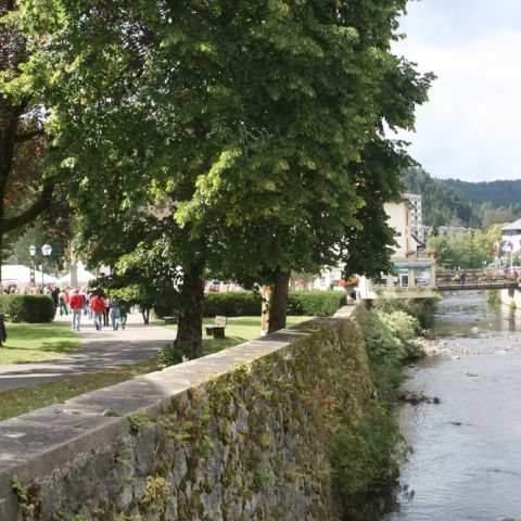 st.blasien 09 - 134