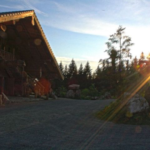 HDR6