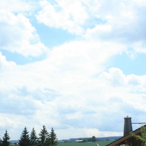 IMG 9471