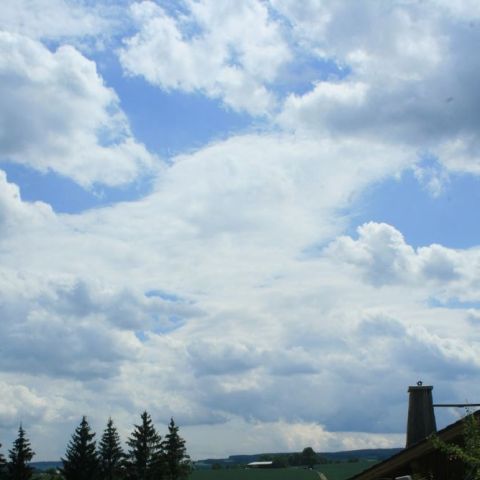 IMG 9472