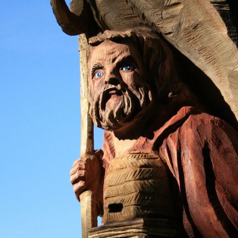 IMG 9580