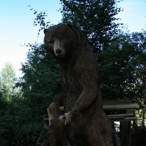 IMG 9610