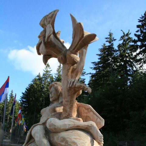 IMG 9656