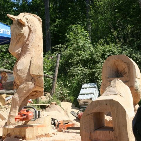 huskycup2012 003