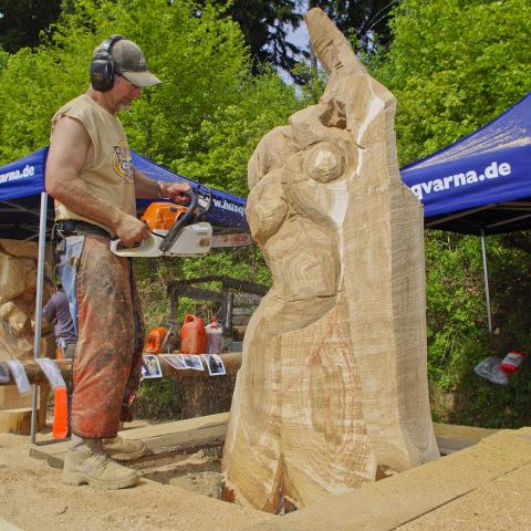 Husqvarna Cup 2013 Day1 0023