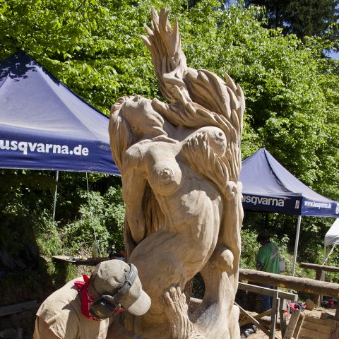 Husqvarna Cup 2013 Day4 0035