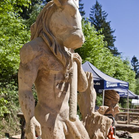 Husqvarna Cup 2013 Day4 0046