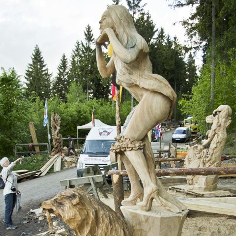 Husqvarna Cup 2013 Day5 0091