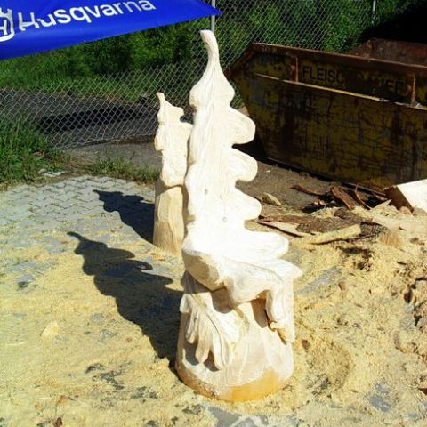 huskytrainingslager042