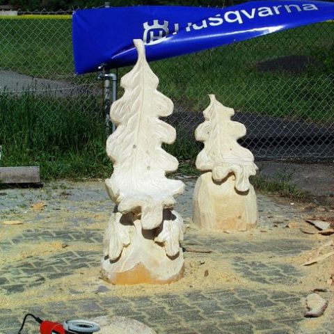 huskytrainingslager046