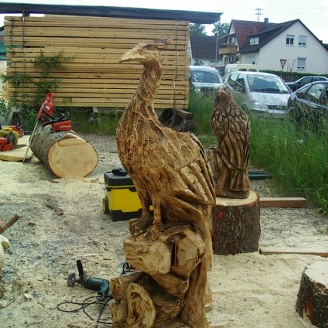 Treffen bei Rolf - 01