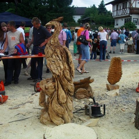 Treffen bei Rolf - 08