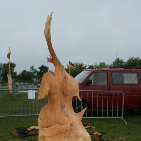 IMG 9959