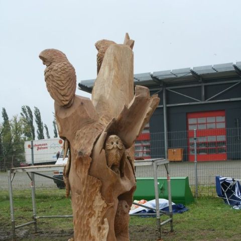 IMG 9983